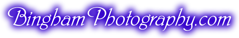 BinghamPhotography logo